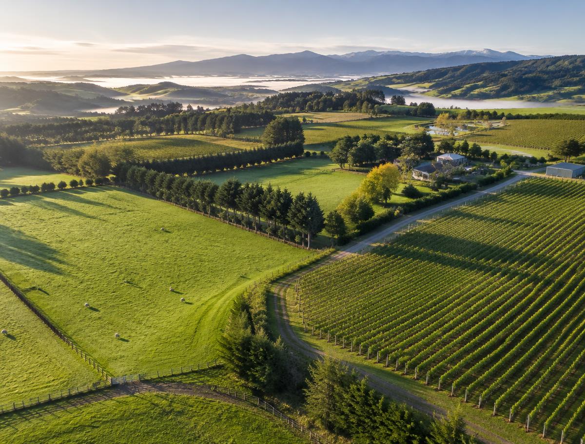 Farms, orchards & vineyards